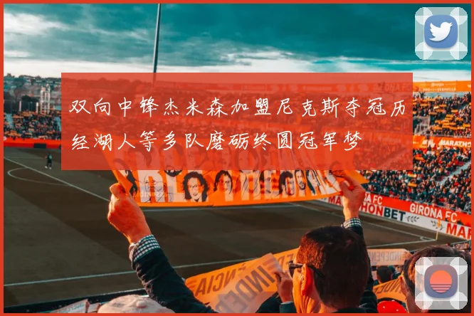 双向中锋杰米森加盟尼克斯夺冠历经湖人等多队磨砺终圆冠军梦